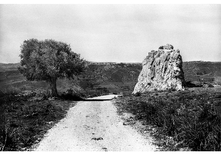 Yusuf Sevinçli “REPUBLIC” Sergisiyle Girne Art Rooms’da