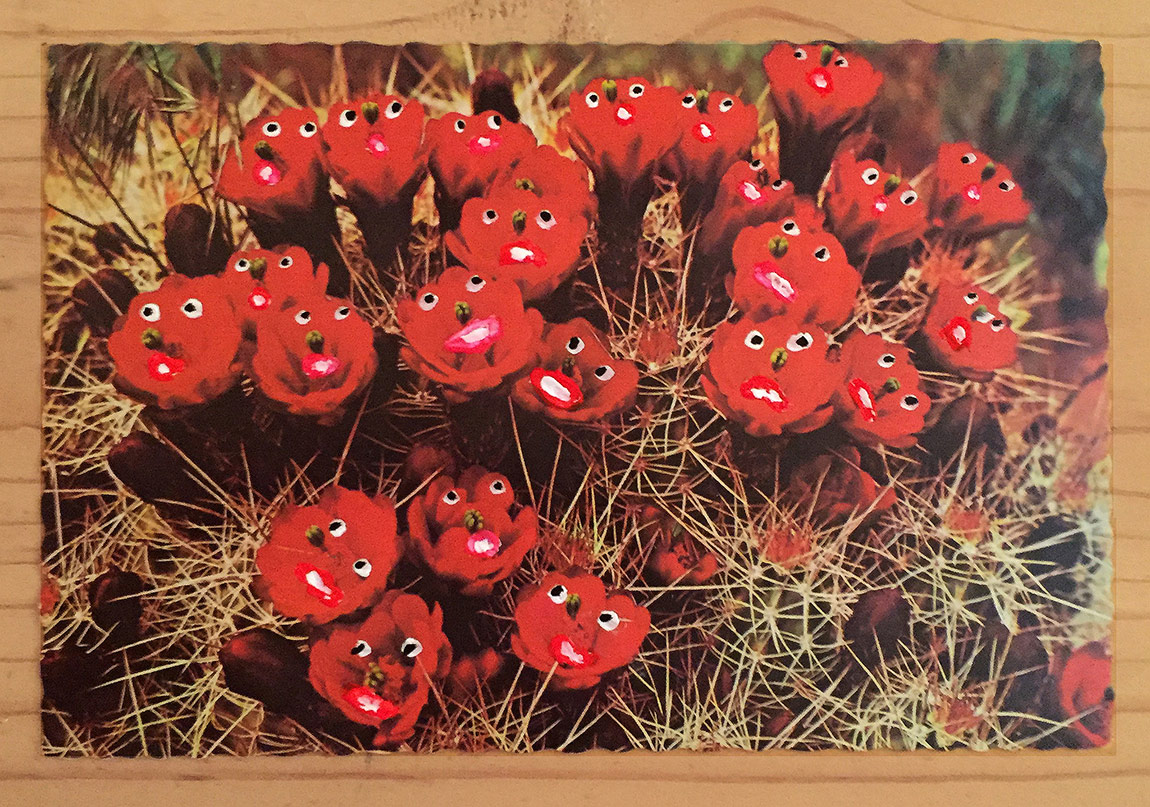 Vintage Kartpostallar Hayat Buluyor