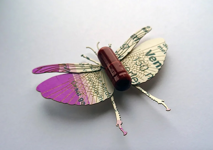 Merel Slootheer’dan Kâğıt Böcekler