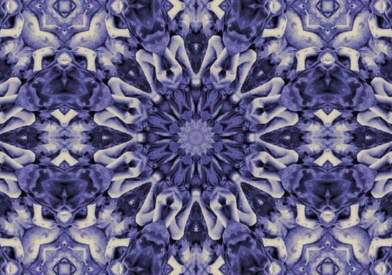 New York’ta Fuar Zamanı