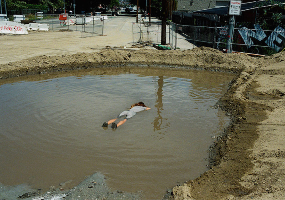 Simbiyotik Bir Ortaklığın Fotoğrafları