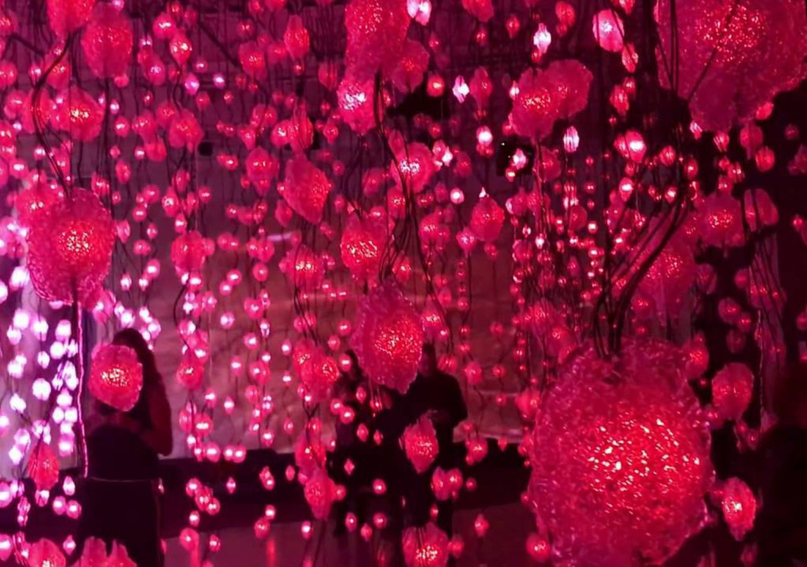 Saykodelik Bir Rüyalar Alemi