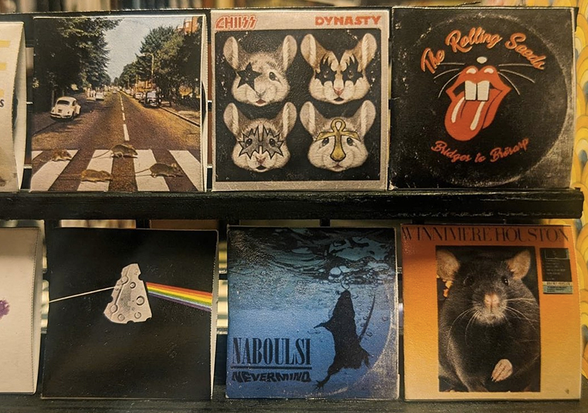 Farelere Özel Plak Dükkânı