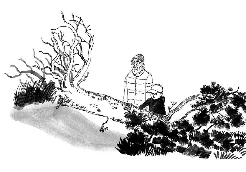 Yeni Arkadaşlıklar ve Küçük Keşifler: “İngmar ve Deniz”