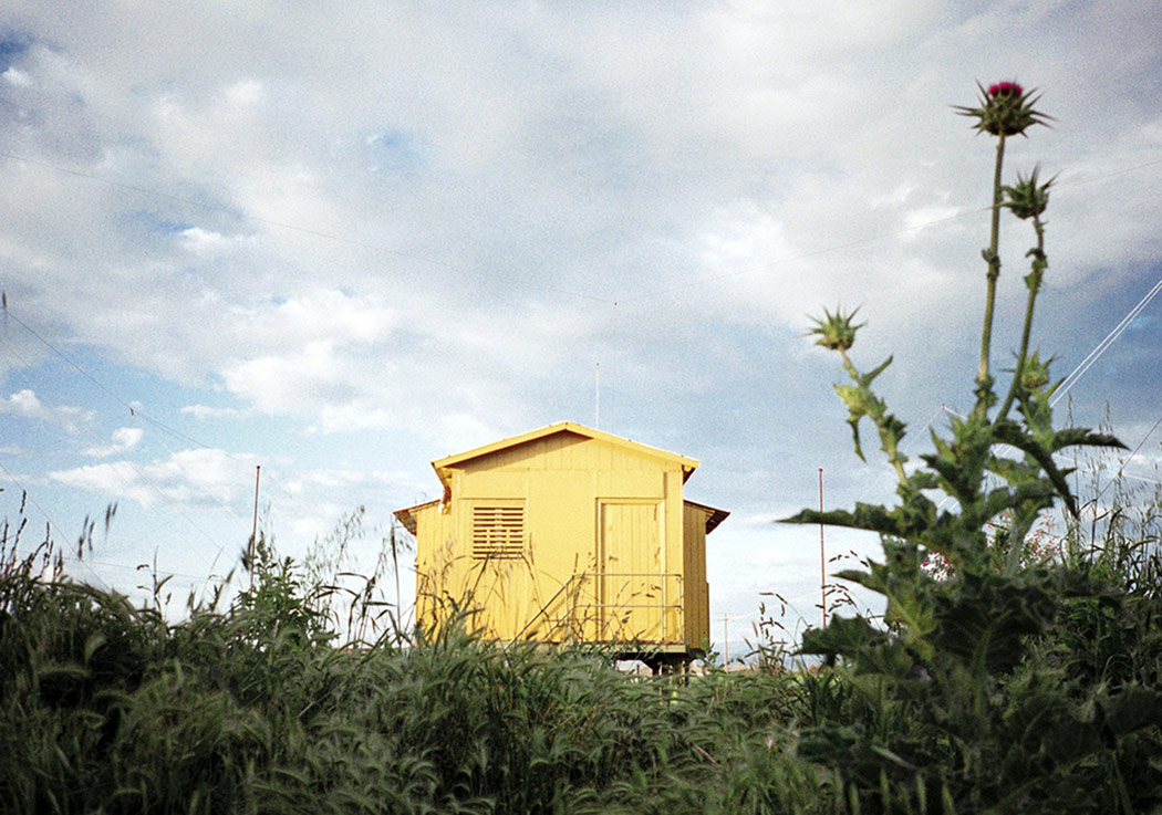 Sıcak Renklerin Dansı