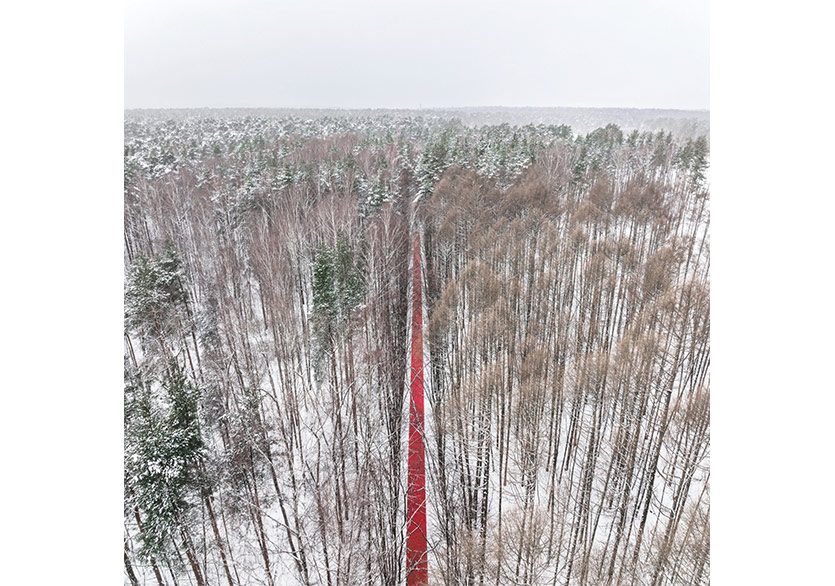 Gregory Orekhov Karlı Rus Manzarasında 250 Metre Uzunluğunda Kırmızı Halı Seriyor