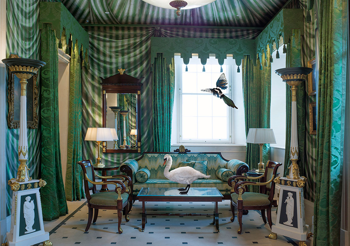 Egzotik Hayvanların Mistik Mekânlara Bakışı