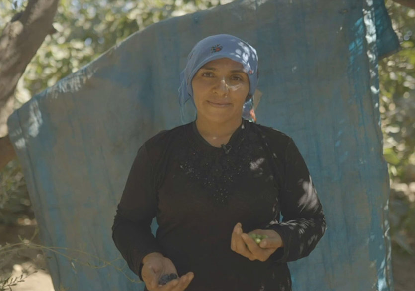 Tarımda Kadın ve Bedeni Üzerine Film Projesi: “Zeytin”