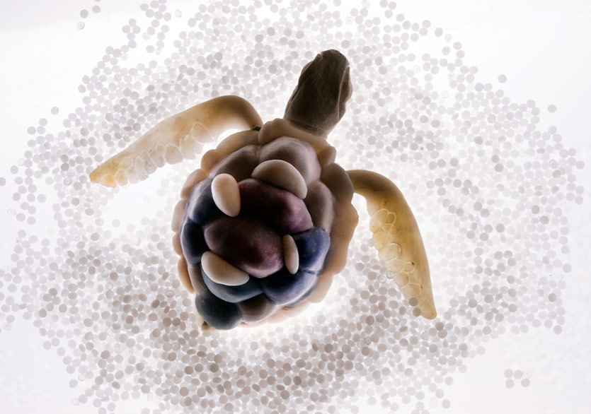 Pınar Yoldaş’ın Biyoloji ve Sanatı Birleştiren Sergisi