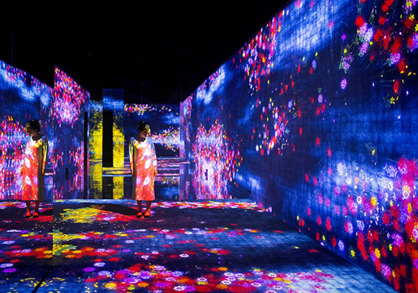 Dijital Bahçenin Yaşam Döngüsü