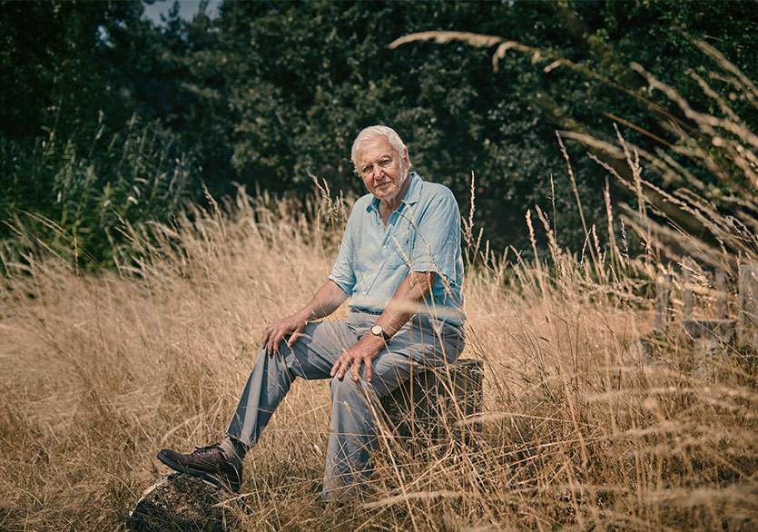 Sir David Attenborough’tan Bir Yok Oluş Hikâyesi 
