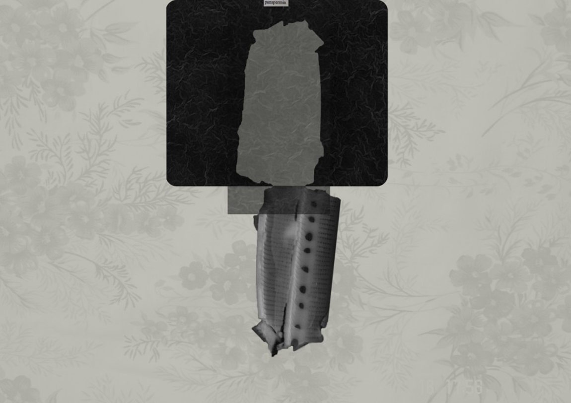 Organik ve İnorganiğin Eşiğinde Bir Ütopya