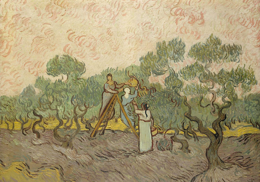 Van Gogh'un Kaldığı Bakımevinin Bilinmeyen Yüzü