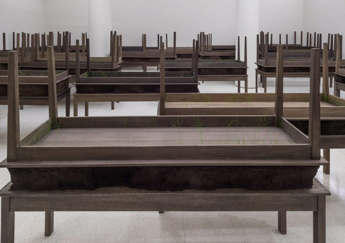 Kayıp, Travma ve Toplumsal Hafıza