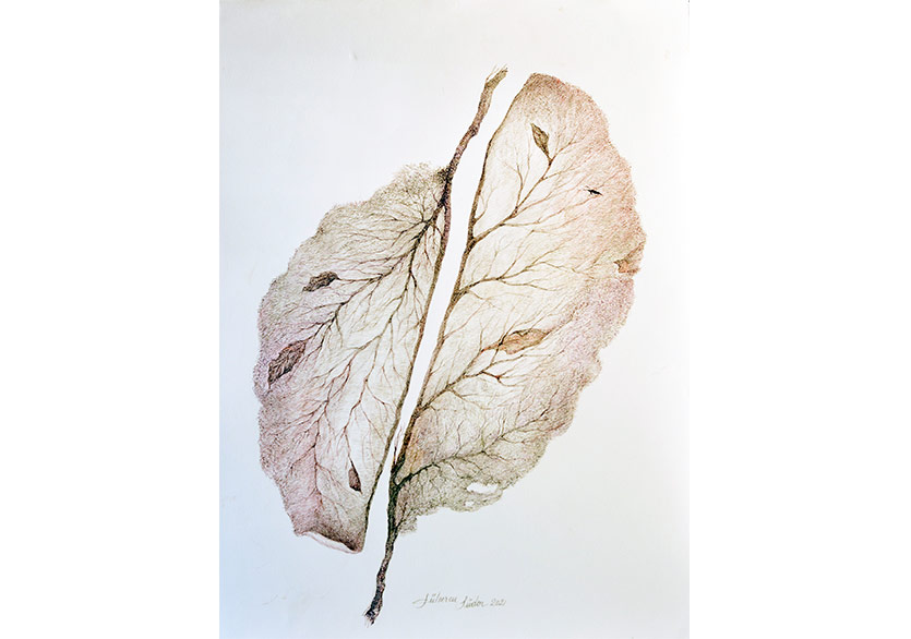 “Gülseren Südor: Zamanlar ve Katmanlar Arasında” Sergisi Metrohan’da