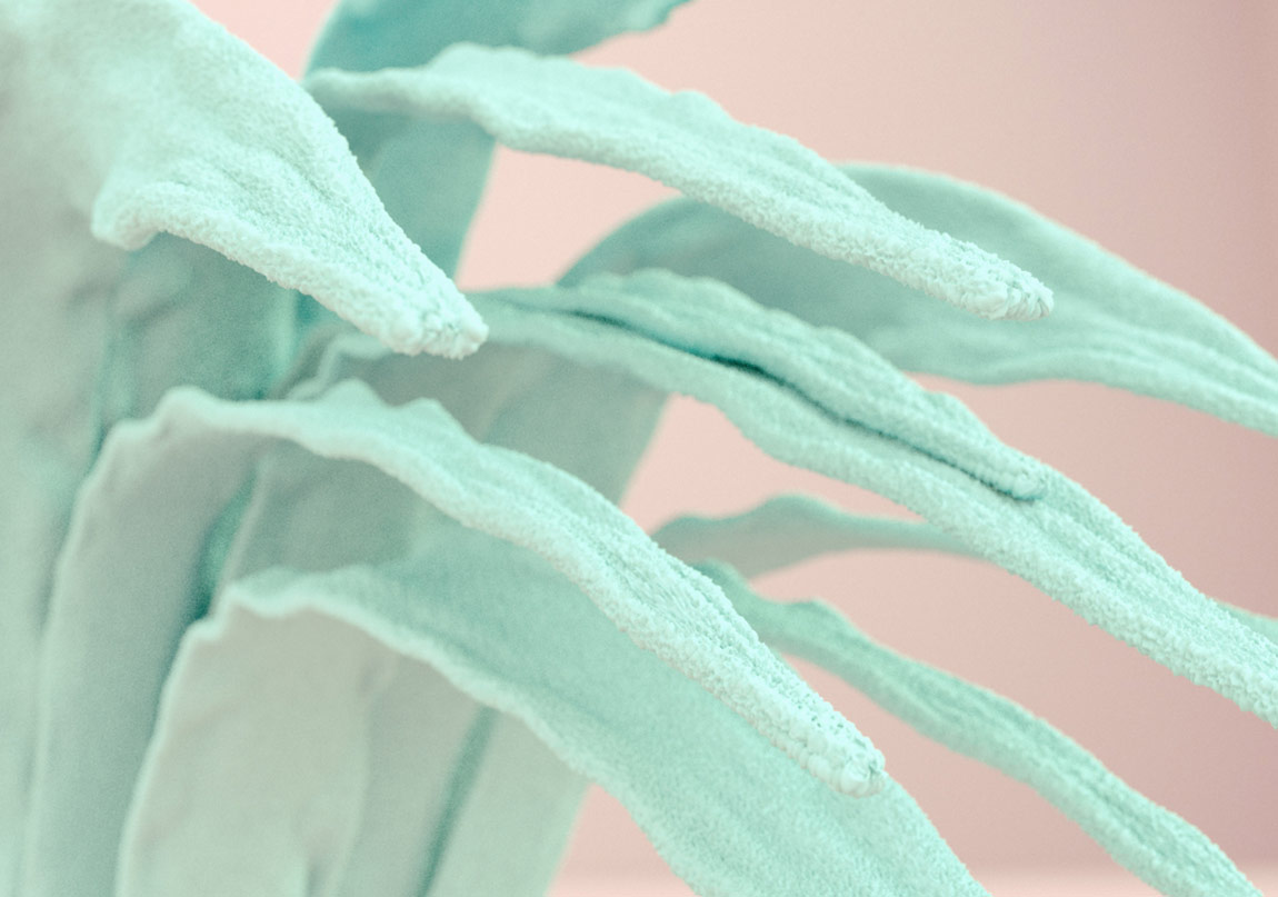 Rusya’dan Bir Mavi Balina