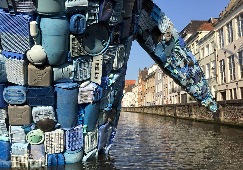 Brugge Kanalı’nda Dev Bir Balina