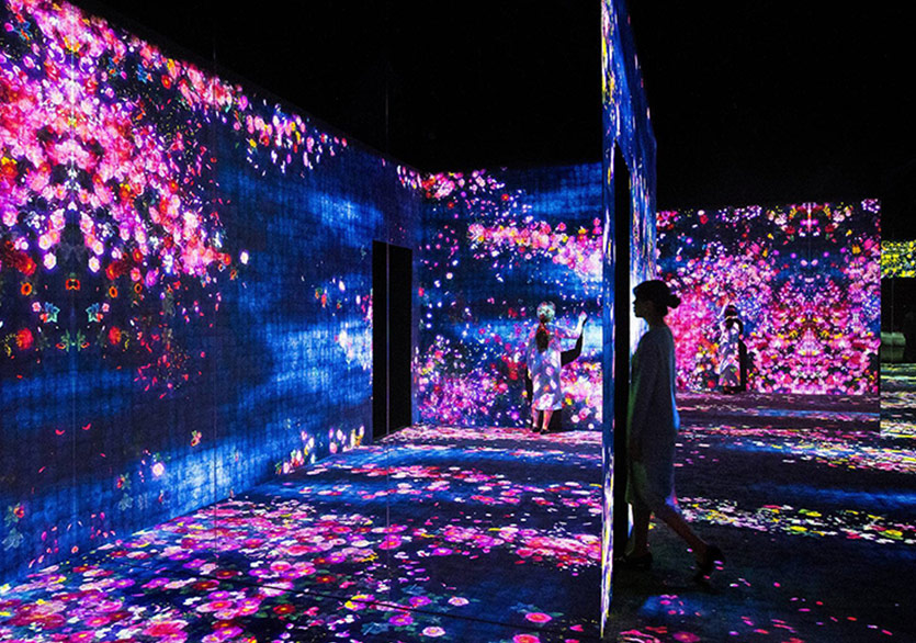 Dijital Bahçenin Yaşam Döngüsü