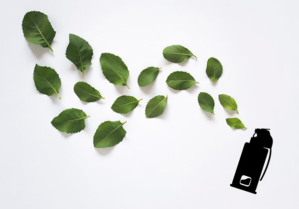 Bu İllüstrasyonun Ana Malzemesi Yapraklar