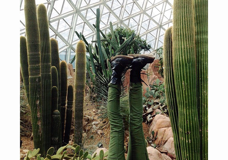 Telefonla Çekilen Yaratıcı Perspektifler