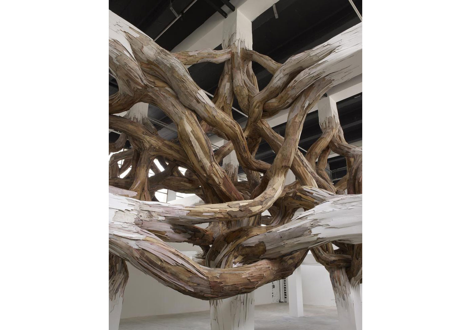 Dev Boyutta Ağaç Enstalasyonları