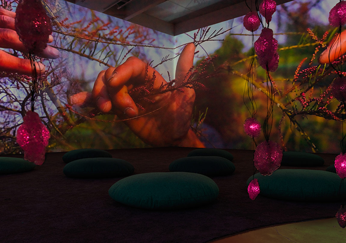 Saykodelik Bir Rüyalar Alemi