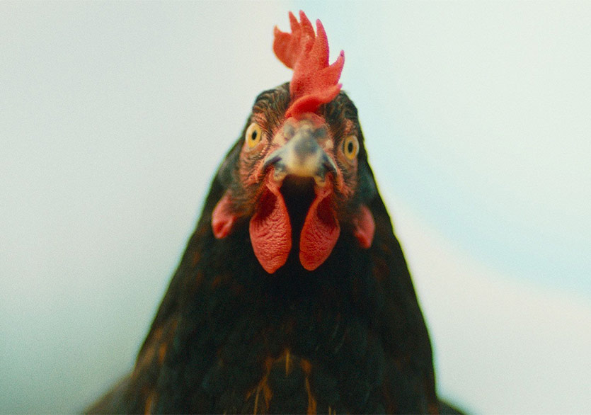 45. İstanbul Film Festivali Başlıyor