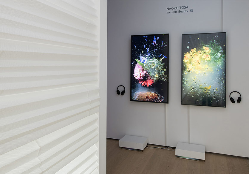 Su Dalgalarıyla Şekillenen Sanat 