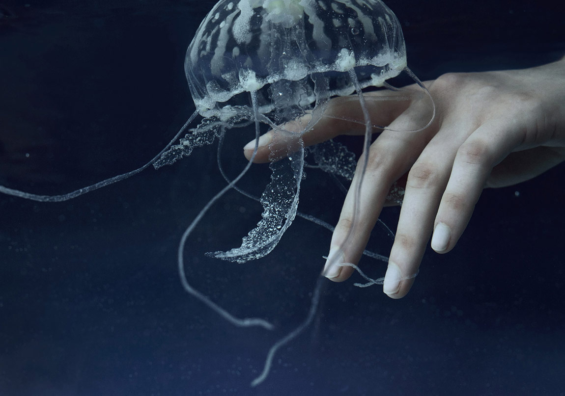 Doğadan İlham Alan Hipnotik Kareler