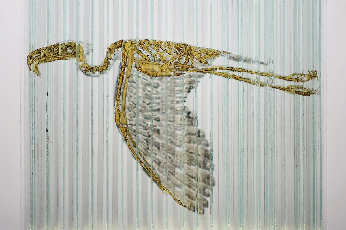 Cam Sanatının Dönüşümü; Emulsifier