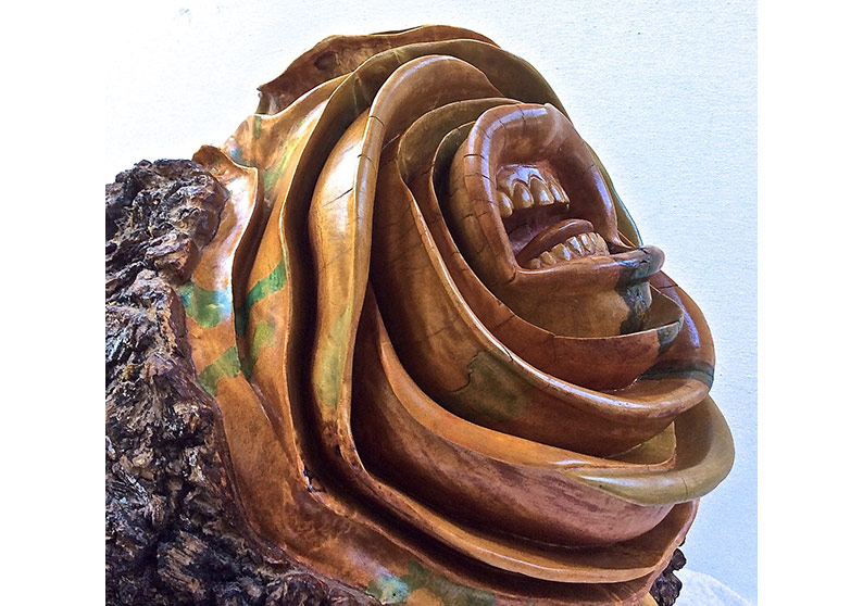 Ahşabın Bilinmeyen Hikayesi