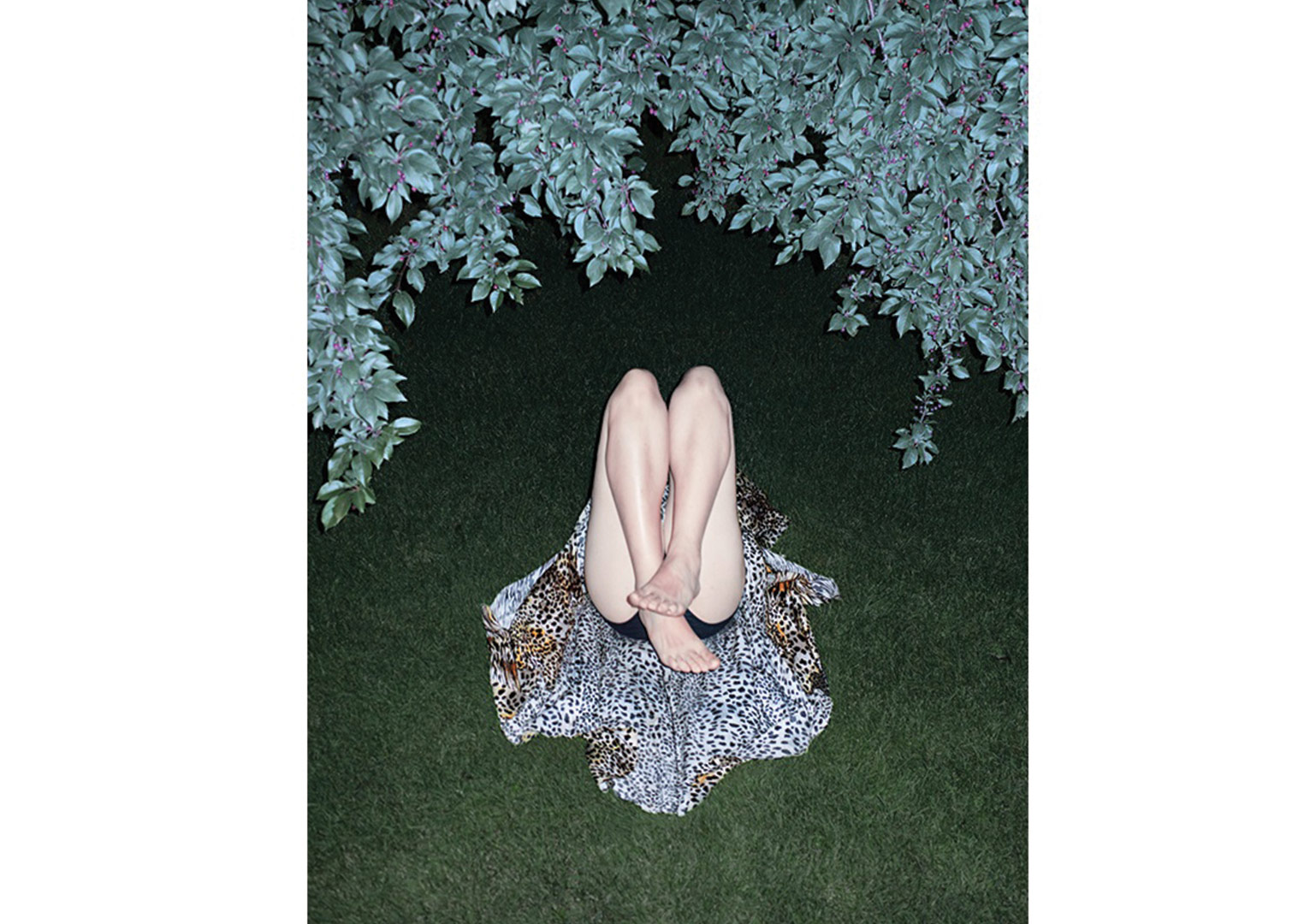 Sınırları Sorgulamak