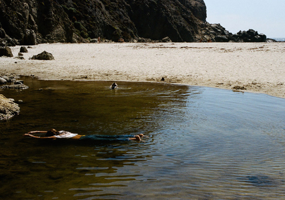Simbiyotik Bir Ortaklığın Fotoğrafları