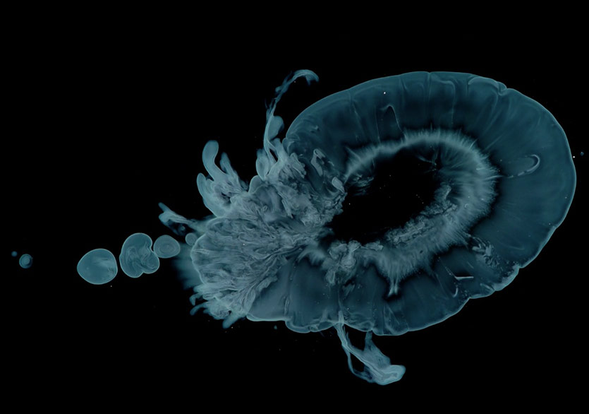 Mercek Altındaki Sanatsal Tepkimeler