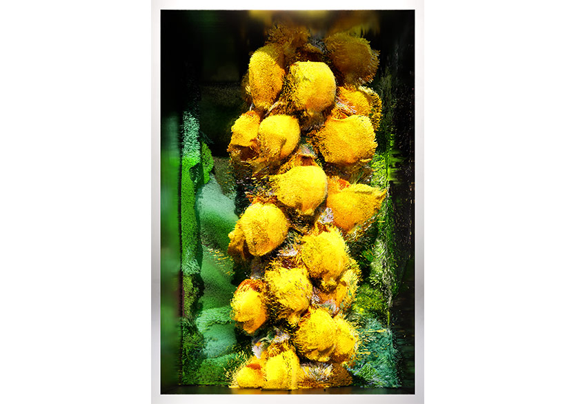 Refik Anadol’un Eseri “Büyük Doğa Modeli Türkiye-Flora” Türkiye İş Bankası Resim Heykel Müzesi’nde