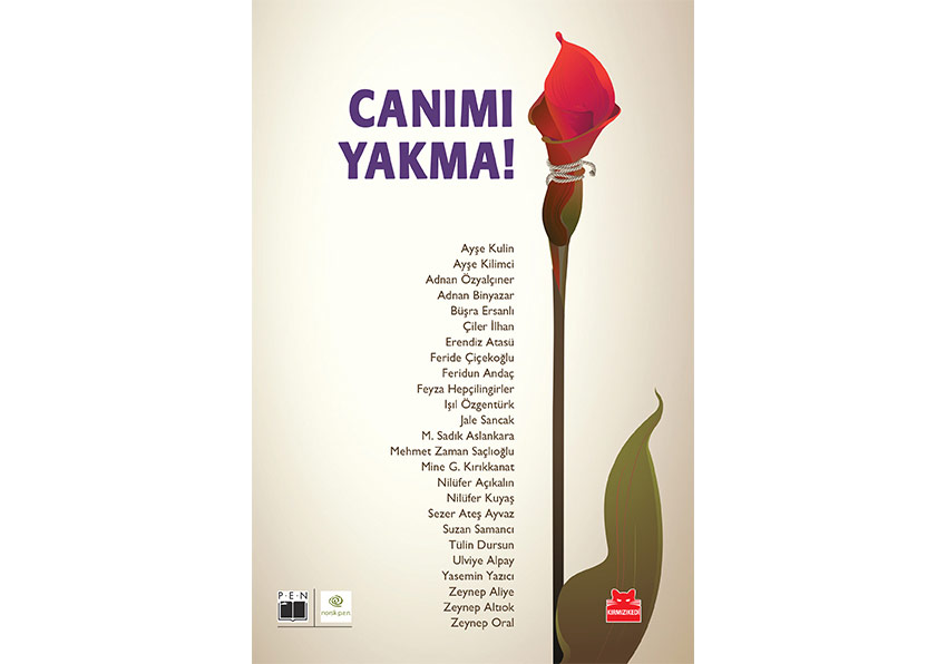 Kadına Karşı Şiddete Dur Diyen Öyküler