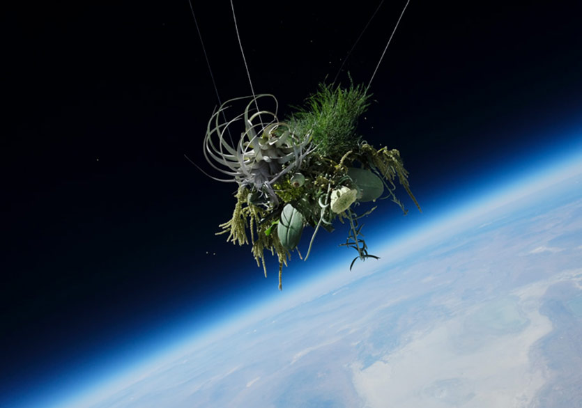 Uzaya Fırlatılan Bir Buket