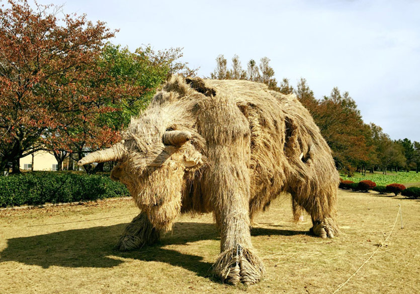Wara Art Festival Kapsamında Pirinç Saman Heykelleri