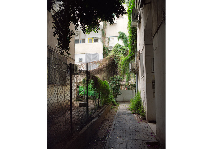 Indie Photography Group Galerisi’nden “Teraryum” Sergisi