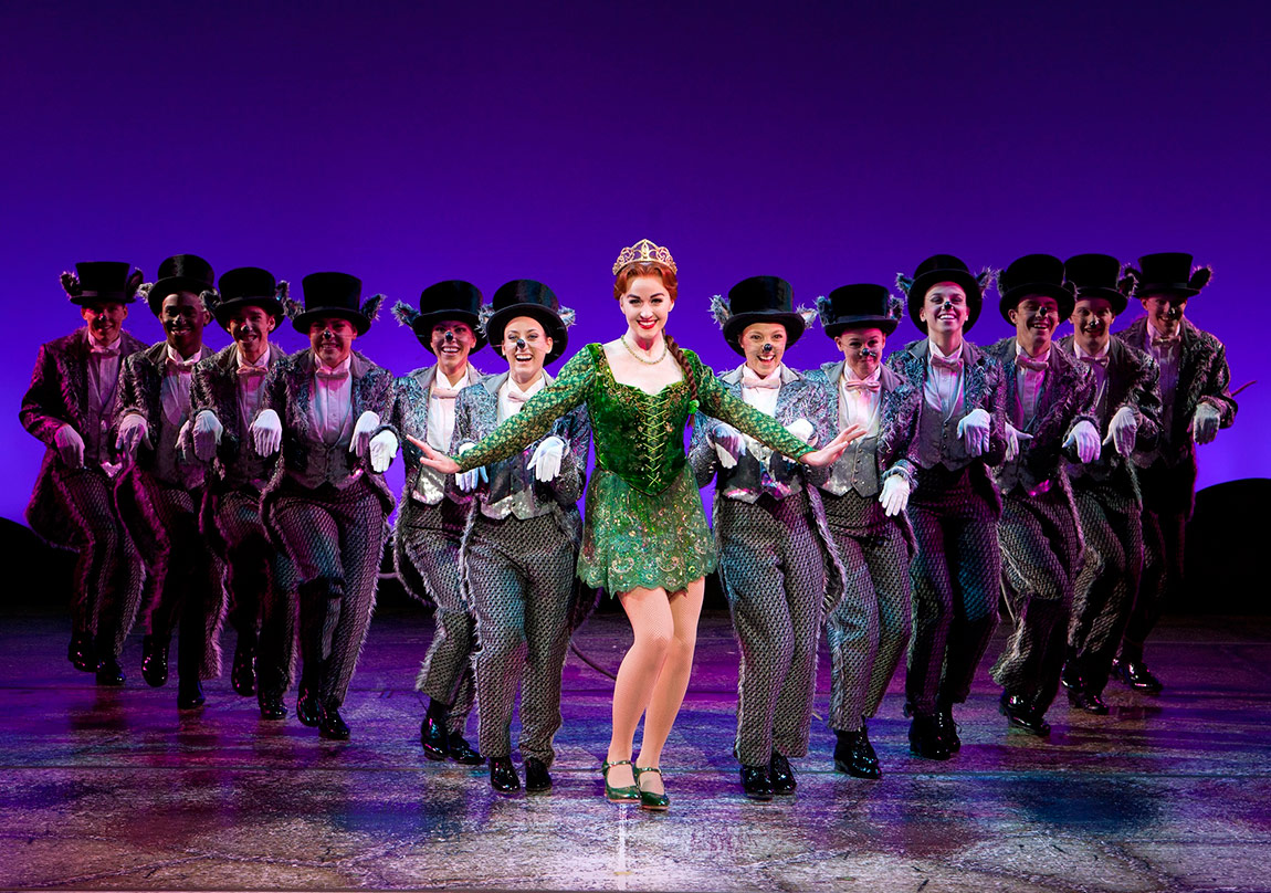 Broadway’in Ünlü Müzikali Shrek İstanbul’da