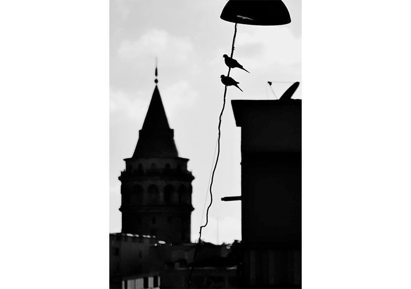 İBB ve FOTON Derneği’nin İş Birliği: “Sevgilim İstanbul”