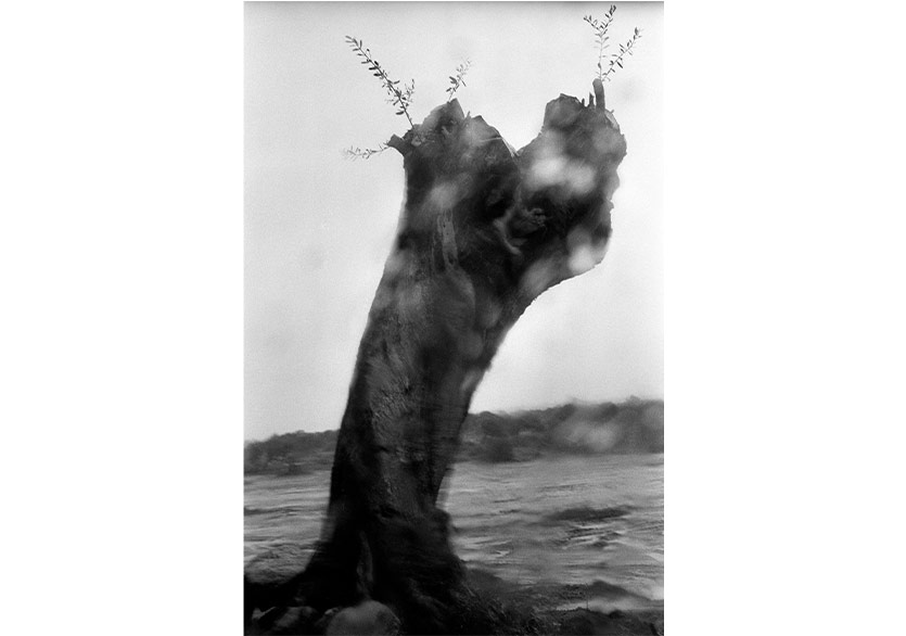 Yusuf Sevinçli “REPUBLIC” Sergisiyle Girne Art Rooms’da