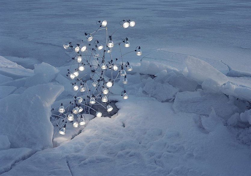 Günlük Objelerin Sıra Dışı Halleri
