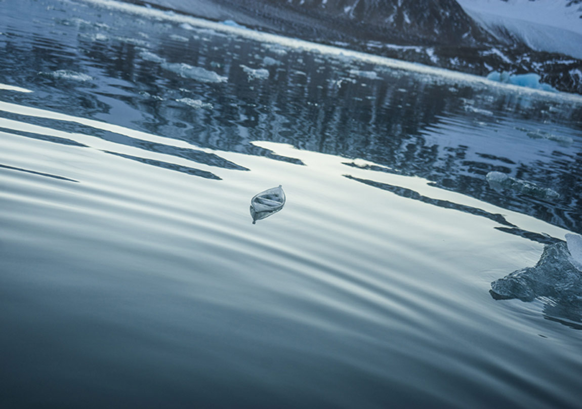 Buzdan Bir Gemiyle Kuzey Kutbuna Yolculuk