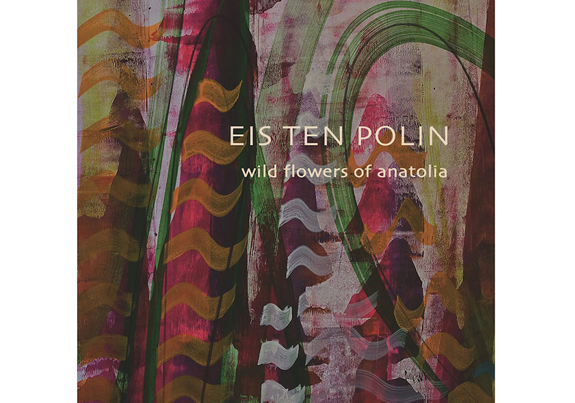 Saykedelik ve Sıra Dışı : Wild Flowers of Anatolia