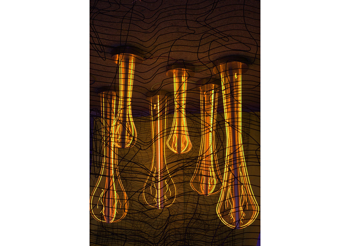 Ekolojik Dengeyi Bozan İnsan 