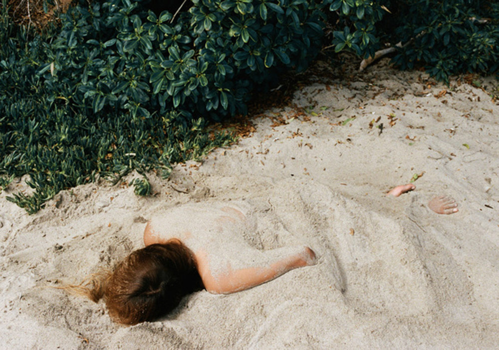 Simbiyotik Bir Ortaklığın Fotoğrafları