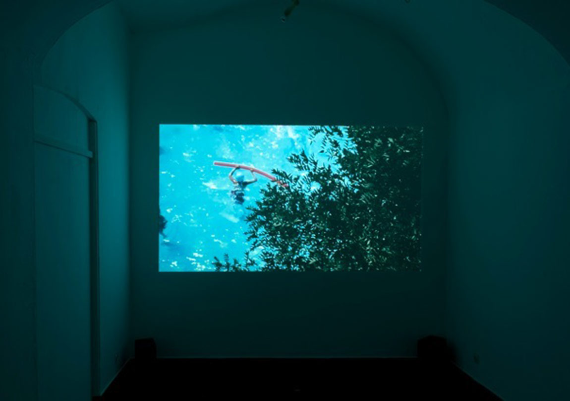 Deney Alanı Olarak Bitkilerin Bulmacası