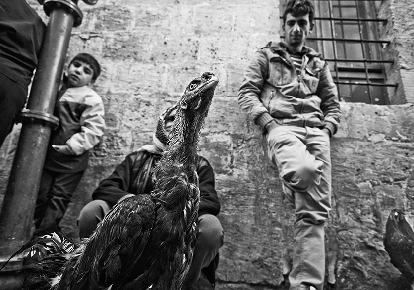 15. Bursa Uluslararası Fotoğraf Festivali Başlıyor