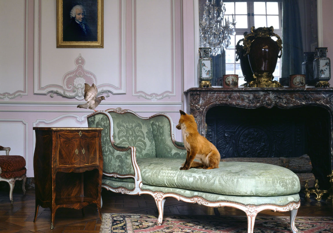 Egzotik Hayvanların Mistik Mekânlara Bakışı